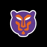 Logo Tiger Padel Rostock