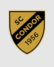 Logo Condor Padel