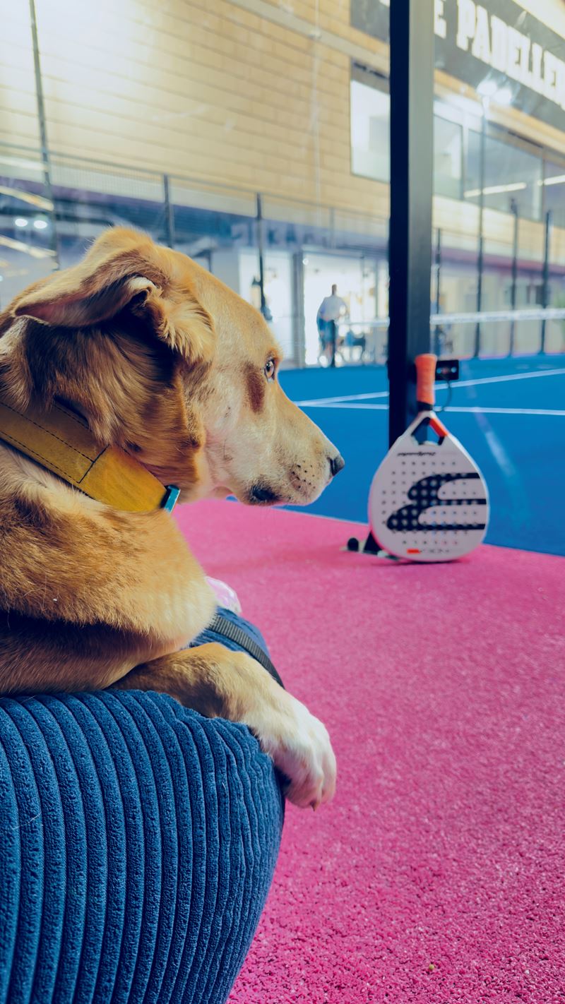 Logo Katja Gajdosch-Engels