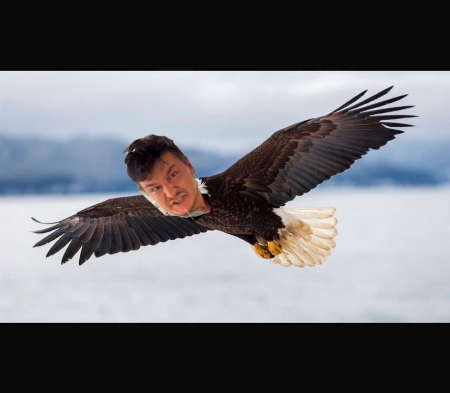 Logo Joscha Saltenberger