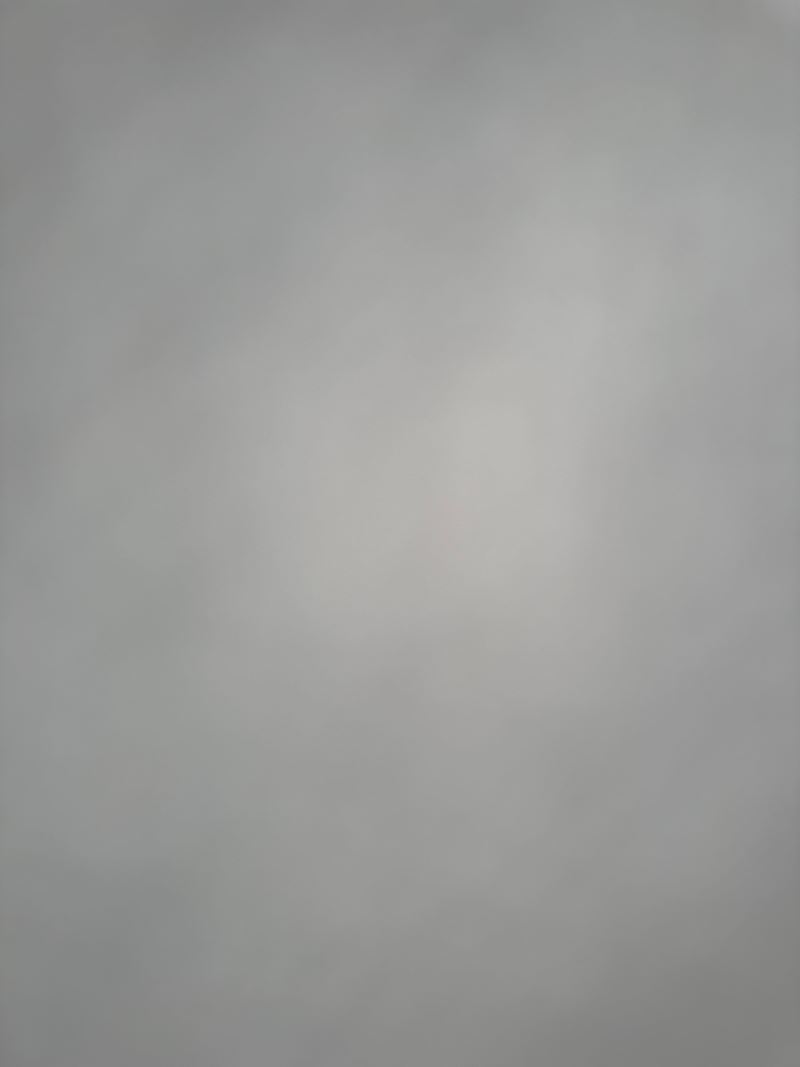 Logo Pelayo Antuna