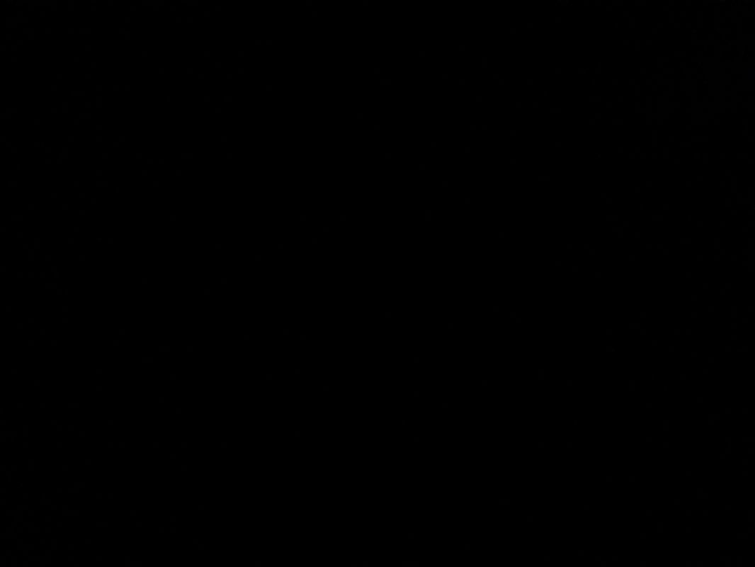 Logo Michael Kösters