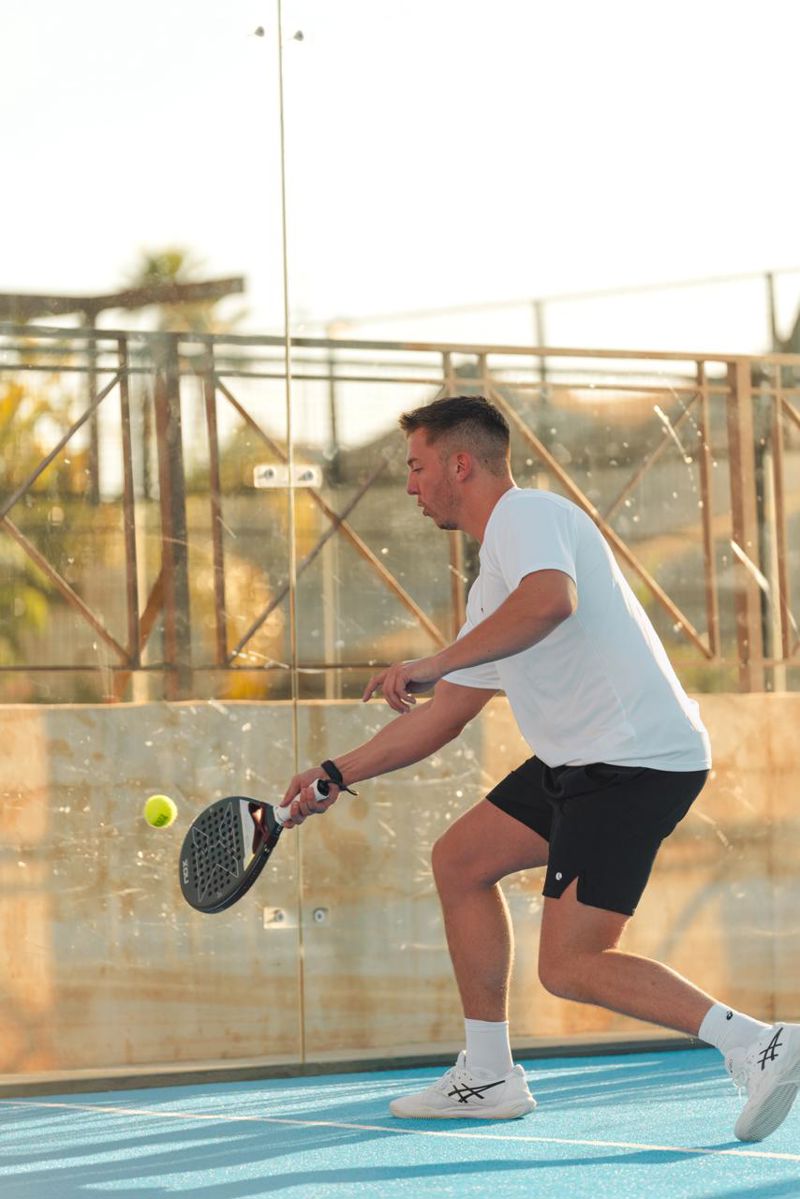 Logo Leonard Schoelen