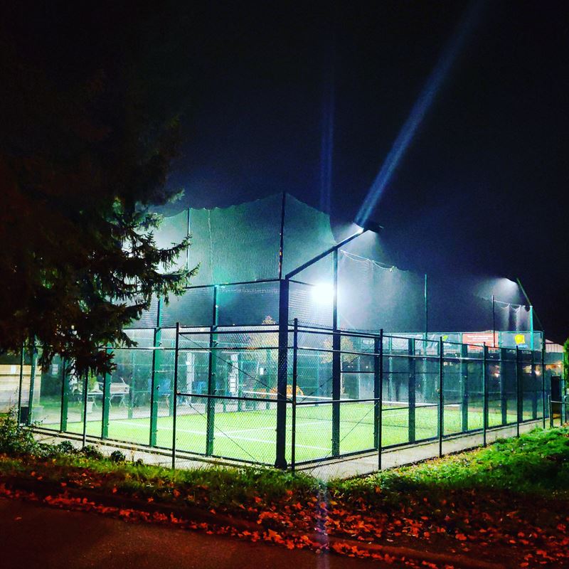 Logo Daniel Lienhard