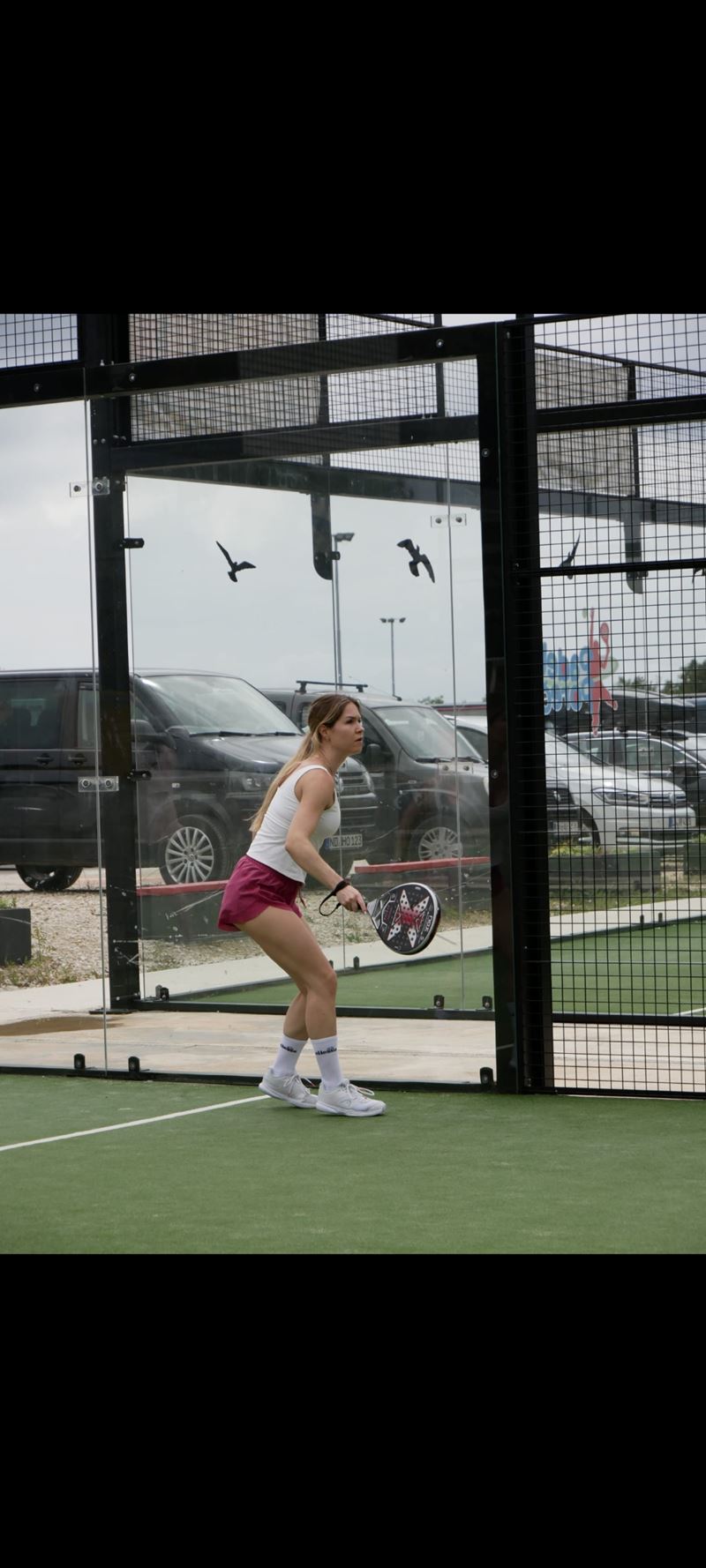 Logo Katrin Trischberger